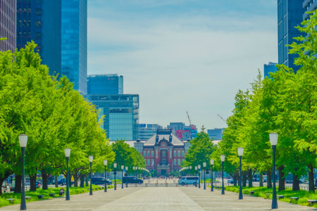 Tokyo Station and Yukiyuki Street. Shooting Location: Chiyoda ward, Tokyoの写真素材