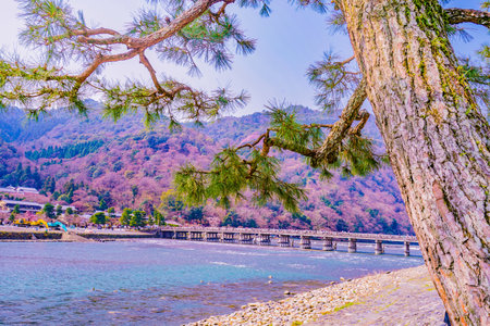Togetsu Bridge (Kyoto). Shooting Location: Kyotoの写真素材