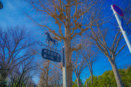 Tokyo Racecourse (Fuchu City). Shooting Location: Fuchu City, Tokyoの写真素材