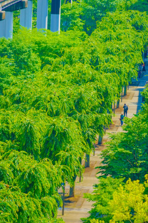 Tachikawa Sunsan Road. Shooting Location: Tachikawa City, Tokyoの写真素材