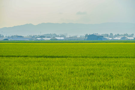 Sendai Plain Rural. Shooting Location: Sendai, Miyagi Prefectureの写真素材