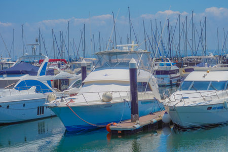 Yokohama Bayside Marina. Shooting Location: Kanazawa -ku, Yokohama