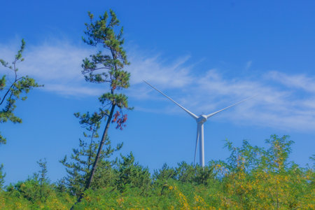 A landscape with wind power (Akita). Shooting Location: Akita