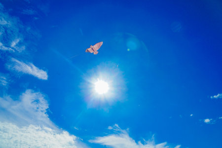 Kite and blue sky. Shooting Location: Higashimurayama City, Tokyoの写真素材