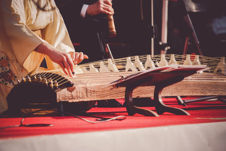 Kotos concert (Japanese culture). Shooting Location: Kohoku -ku, Yokohamaの写真素材
