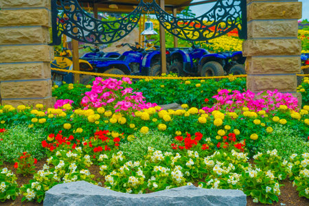 Flower field in Biei -cho, Hokkaido. Shooting Location: Biei -cho, Hokkaidoの写真素材