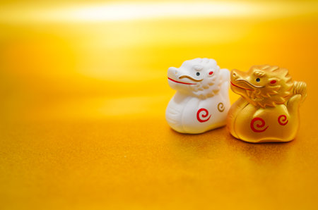 New Years card material of the dragon year (Tatsu no brother). Shooting Location: Yokohama-city kanagawa prefectureの写真素材