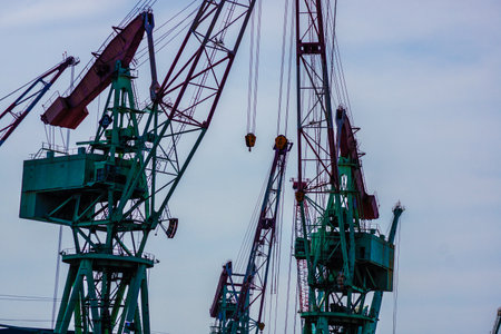 Port crane group. Shooting Location: Minato -ku, Tokyoの写真素材