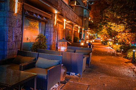 Night restaurant area. Shooting Location: Minato -ku, Tokyoの写真素材
