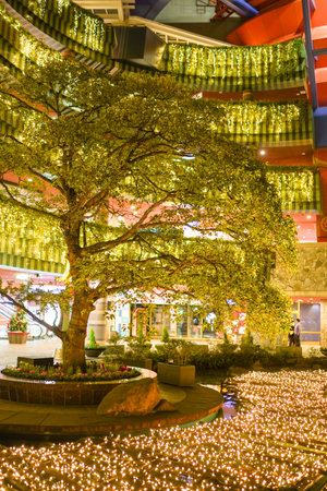 Trees decorated with illuminations. Shooting Location: Fukuoka Prefectureの写真素材