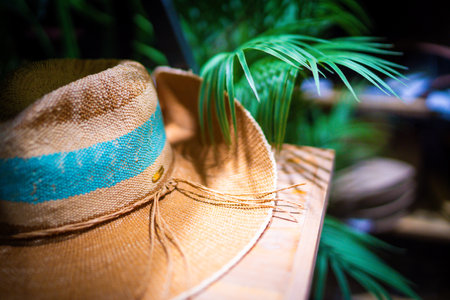 Colorful straw hat. Shooting Location: Minato -ku, Tokyoの写真素材