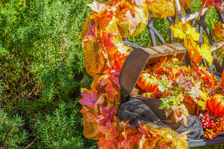 Image of autumn decoration. Shooting Location: Meguro -ku, Tokyo