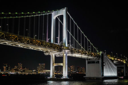 Tokyo night view bridge. Shooting Location: Minato Ward, Tokyoの写真素材