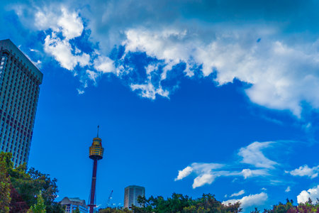 sydney tower twilight. Shooting Location: sydney, australiaの写真素材