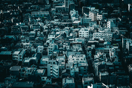 dense residential area. Shooting Location: Setagaya Ward, Tokyoの写真素材