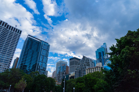 greenery and skyscrapers. Shooting Location: sydney, australiaの写真素材