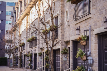 Stone townhouse with decorative plants and stonework exterior