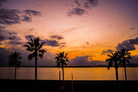 sunset silhouette image
