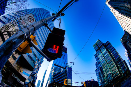 city ??traffic lights. Shooting Location: Toronto