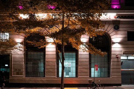 Night cityscape and yellow leaves. Shooting Location: sydney, australiaの写真素材