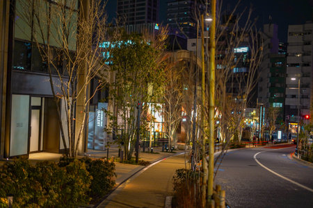 Buildings and trees illuminated by lights. Shooting Location: Minato Ward, Tokyo
