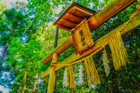 Shrine torii gate and scenery of trees. Shooting Location: Niigata Prefectureの写真素材