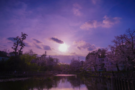 Evening view of Shirahataike Park. Shooting Location: Kohoku Ward, Yokohama Cityの写真素材