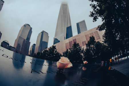 Skyscrapers and memorial roses. Shooting Location: new york, manhattanの写真素材