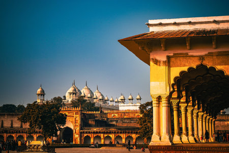 Agra Fort Sculpture Architecture. Shooting Location: Indiaの写真素材