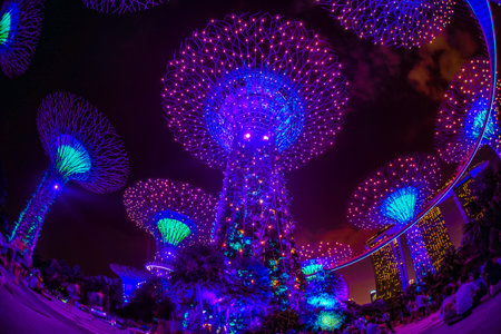 Neon glowing super tree. Shooting Location: Singapore