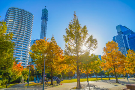 Autumn weather and city scenery. Shooting Location: Nishi Ward, Yokohama Cityの写真素材
