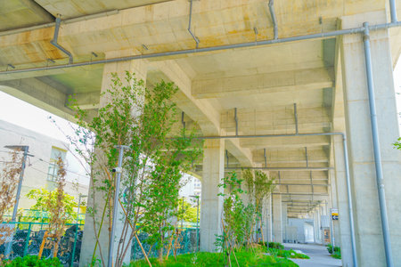 Under the overpass full of greenery. Shooting Location: Hodogaya Ward, Yokohama Cityの写真素材