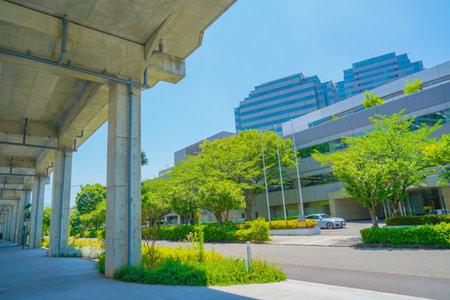 Buildings and greenery in residential area. Shooting Location: Hodogaya Ward, Yokohama Cityの写真素材