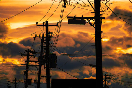Dense clouds and silhouette electric wires. Shooting Location: Sendai City, Miyagi Prefectureの写真素材