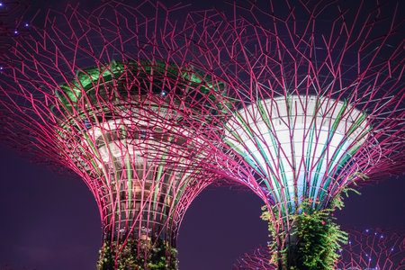 gardens by the bay. Shooting Location: Singaporeの写真素材