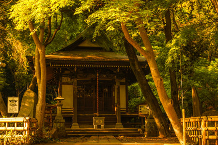 Shrine of Jindaiji Temple. Shooting Location: Chofu City, Tokyo