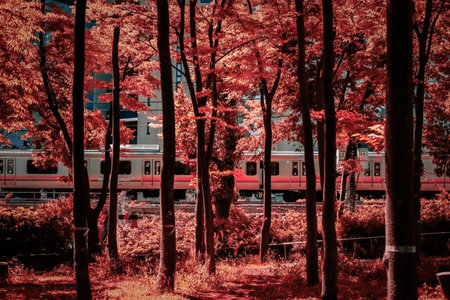 Urban nature and Yokohama Line. Shooting Location: Kohoku Ward, Yokohama Cityの写真素材