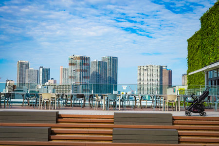 Rooftop terrace and cityscape. Shooting Location: Koto Ward, Tokyoの写真素材