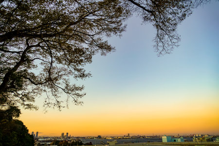 Port town seen from the shade of trees. Shooting Location: Naka Ward, Yokohama Cityの写真素材