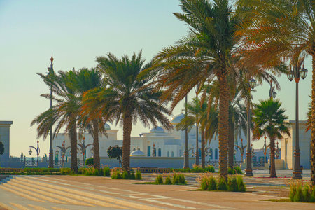 Palm trees surrounding the palace. Shooting Location: abu dhabiの写真素材