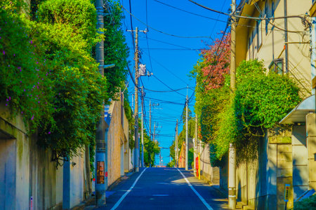 Slopes in Meguro Ward. Shooting Location: Meguro Ward, Tokyo
