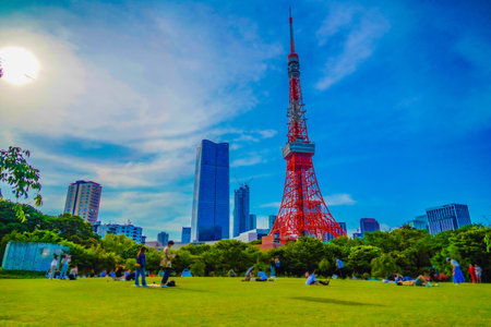 Tokyo Tower from Prince Shiba Park. Shooting Location: Minato Ward, Tokyoの写真素材