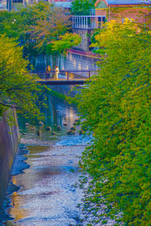 Bridges and riverside scenery in Meguro Ward. Shooting Location: Meguro Ward, Tokyoの写真素材