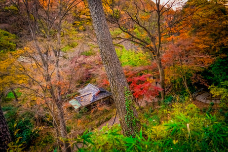 A quiet hermitage in the mountains (Sankeien). Shooting Location: Naka Ward, Yokohama City