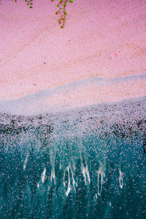 spring watercolor pattern. Shooting Location: Meguro Ward, Tokyoの写真素材