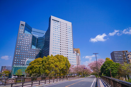 Office building in front of Kawasaki Station. Shooting Location: Kawasaki City, Kanagawa Prefectureの写真素材