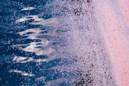 Cherry blossom petals and lake surface. Shooting Location: Meguro Ward, Tokyoの写真素材