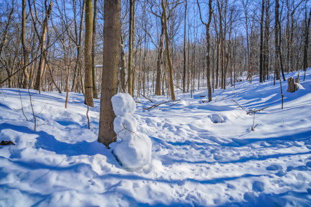 Snow Forest and Snowman (Shumi Forest). Shooting Location: montreal, canadaの写真素材