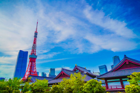 Tokyo Tower from Prince Shiba Park. Shooting Location: Minato Ward, Tokyoの写真素材