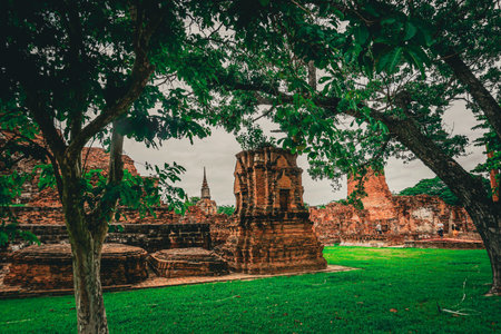 Shade of trees and pagoda ruins. Shooting Location: Thailand, Ayutthayaの写真素材